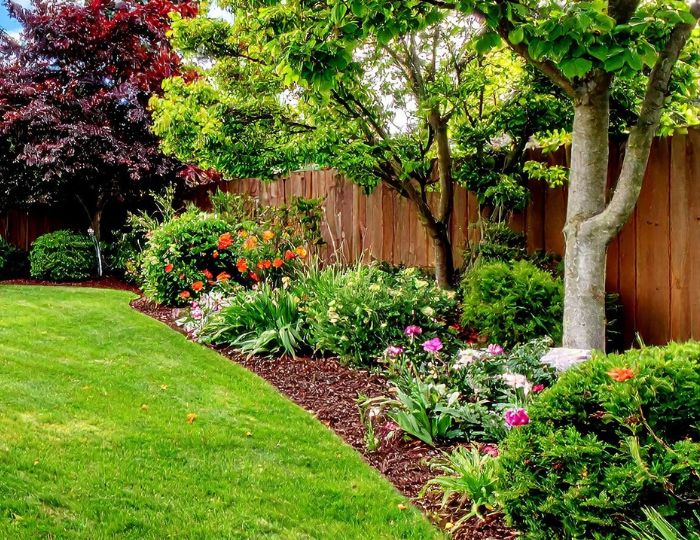 Why Soil Compaction Is Quietly Killing Your Trees (And How Arborists Fix It in Northern Illinois)